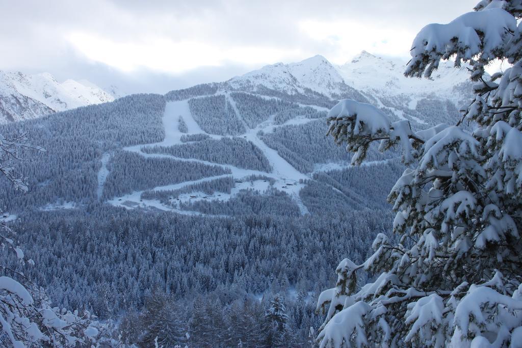 Appartamento La Madonnina Villa di Tirano Esterno foto